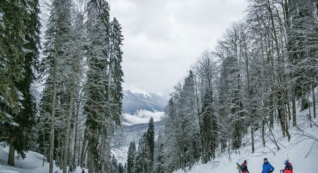 初心者も家族連れも満足できる日帰りスキーツアーで冬を満喫する方法