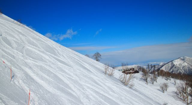 スキーツアーで手ぶら日帰り冬の絶景と温泉グルメまで満喫する新提案 スキーツアーで手ぶら日帰り冬の絶景と温泉グルメまで満喫する新提案